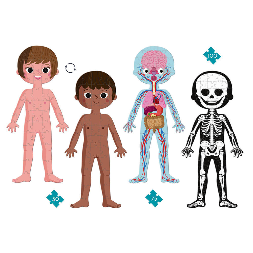 Rompecabezas Educativo Cuerpo Humano