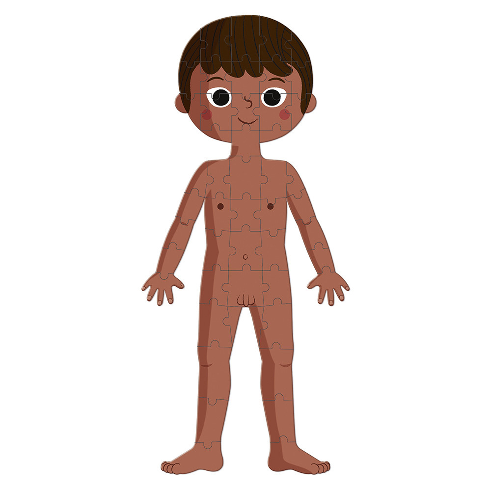 Rompecabezas Educativo Cuerpo Humano