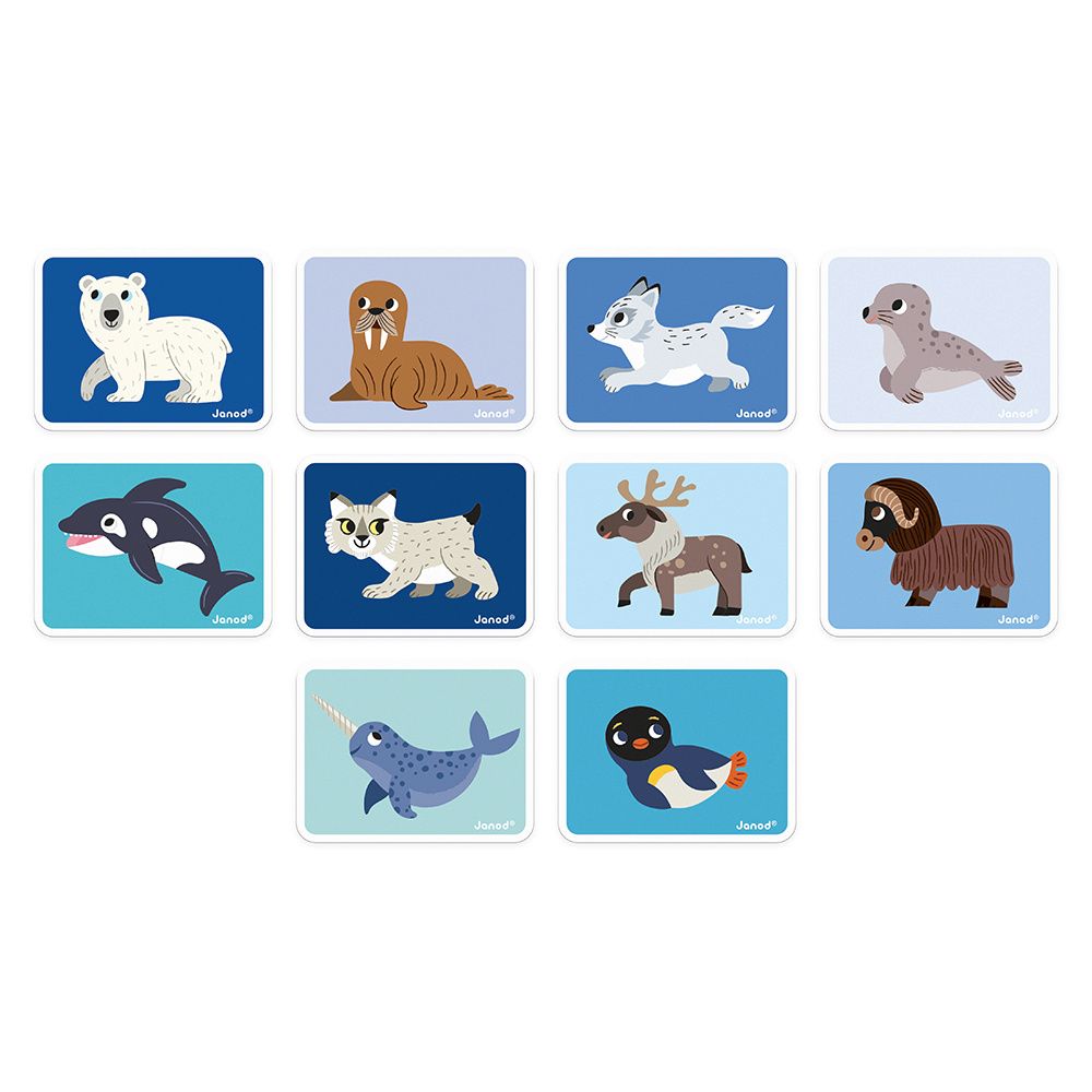 Magneti'Book  Animales Polares